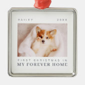 ペットの初めてのクリスマスインフォーエバーホームシックモダン メタルオーナメント (正面)