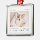ペットの初めてのクリスマスインフォーエバーホームシックモダン メタルオーナメント (左)