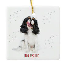 ペットの初めてのクリスマスインフォーエバーホームモダン