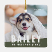 ペットの初めてのクリスマスカスタムのモダン写真年 セラミックオーナメント (裏面)