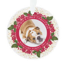 ペットの初めてのクリスマスパーソナライズされたの写真
