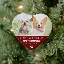 ペットの初めてのクリスマスポープリント赤い写真