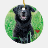 ペットの初めてのクリスマス写真名 セラミックオーナメント (正面)