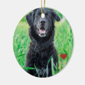 ペットの初めてのクリスマス写真名 セラミックオーナメント (左)