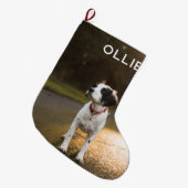 ペットの初めてのクリスマス写真大きなクリスマスストッキ ラージクリスマスストッキング (正面 (吊り時))