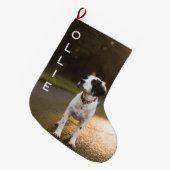 ペットの初めてのクリスマス写真 ラージクリスマスストッキング (正面 (吊り時))