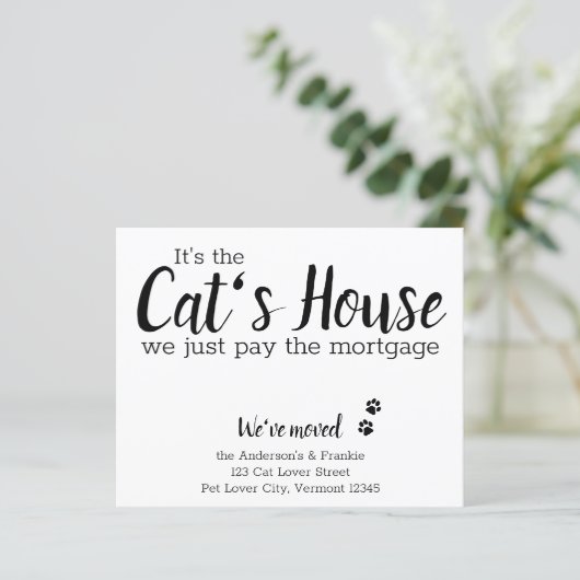 ペットの動きを発表する予算を立てる (スタンド正面)