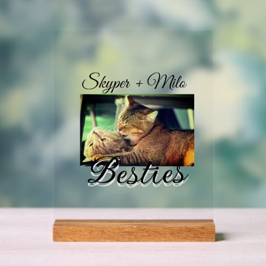 ペットの友人のbesties名前ペットの写真動物の愛を追加 アクリルサイン (ニュートラル)