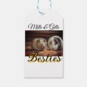 ペットの友人のbesties名前ペットの写真動物の愛を追加 ギフトタグ (裏面)