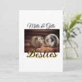 ペットの友人のbesties名前ペットの写真動物の愛を追加 シーズンカード (スタンド正面)