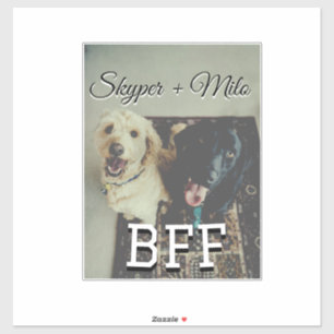 ペットの友人のbesties名前ペットの写真動物の愛を追加 シール