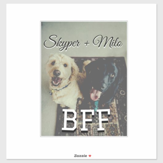 ペットの友人のbesties名前ペットの写真動物の愛を追加 シール (シート)