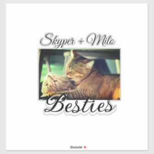 ペットの友人のbesties名前ペットの写真動物の愛を追加 シール