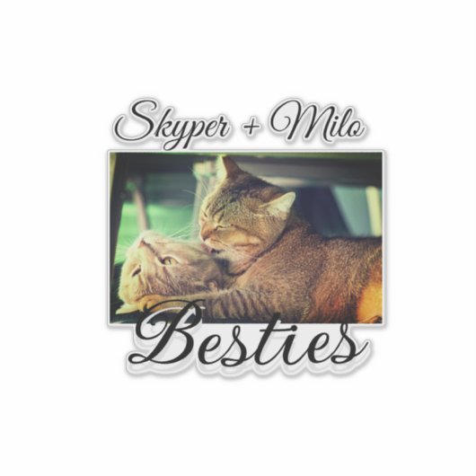 ペットの友人のbesties名前ペットの写真動物の愛を追加 シール (正面)