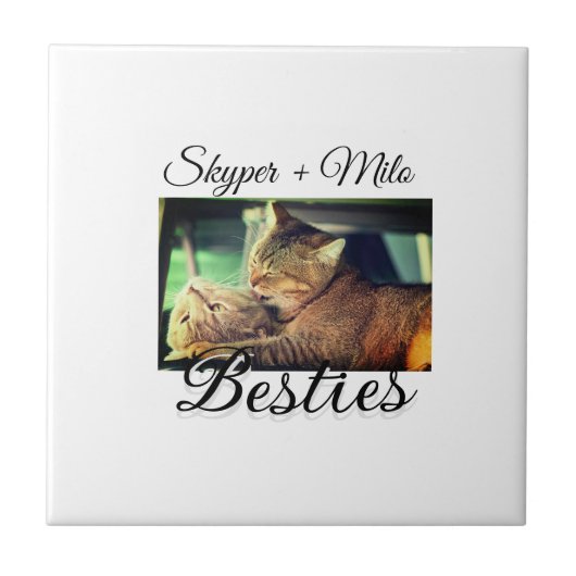 ペットの友人のbesties名前ペットの写真動物の愛を追加 タイル (正面)