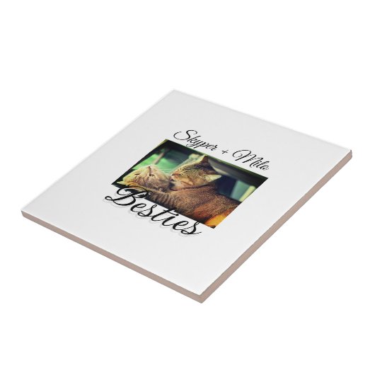 ペットの友人のbesties名前ペットの写真動物の愛を追加 タイル (側面)