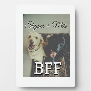 ペットの友人のbesties名前ペットの写真動物の愛を追加 フォトプラーク