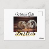 ペットの友人のbesties名前ペットの写真動物の愛を追加 ポストカード (裏面)