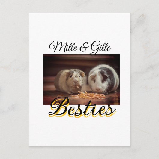 ペットの友人のbesties名前ペットの写真動物の愛を追加 ポストカード (正面)