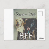 ペットの友人のbesties名前ペットの写真動物の愛を追加 ポストカード (裏面)