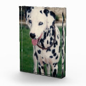 ペットの友達が自分のイメージをアップカスタムアップする犬の猫 フォトブロック (右)