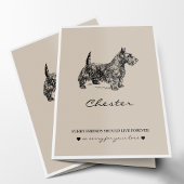 ペットの同情カード |フレンド最高のキツネテリア カード