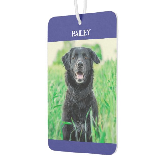 ペットの名前と写真 カーエアーフレッシュナー (左)