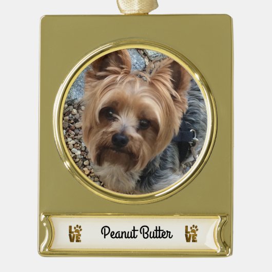 ペットの名前のバナー付きゴールドクリスマスオーナメント ゴールドプレートバナーオーナメント (正面)