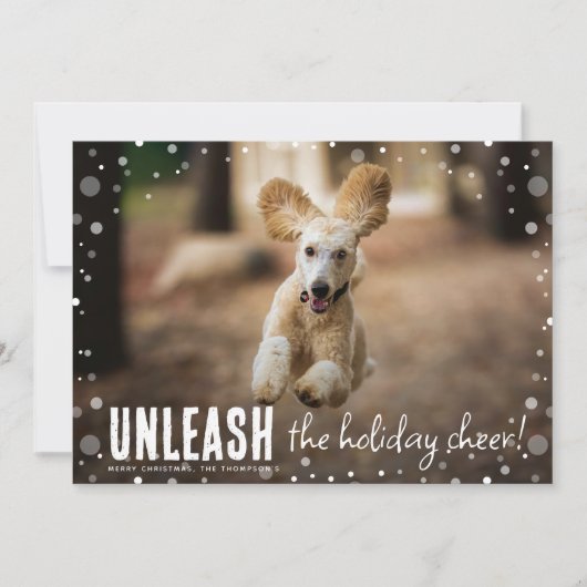 ペットの喜びを解き放て!愛犬の写真でつくるクリスマスカード シーズンカード (正面)