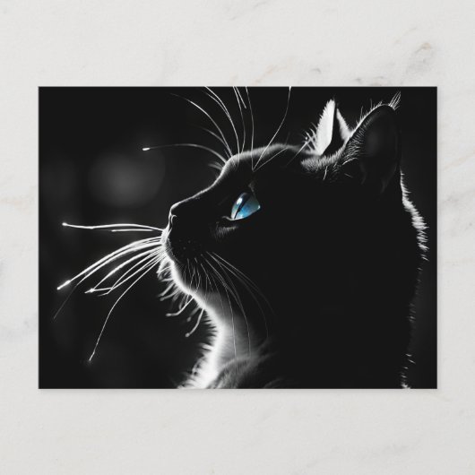 ペットの喪失に対する共感を込めた猫のバックライトグロウ ポストカード (正面)