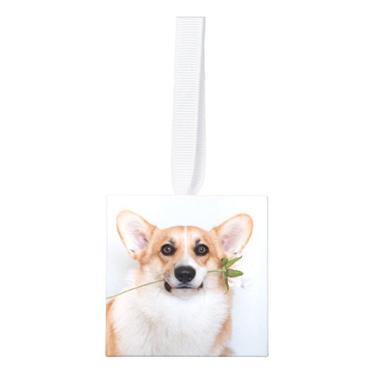 ペットの喪失ギフト 犬メモリアル 4枚の写真を飾るメモリアル キューブオーナメント (正面)