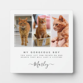ペットの喪失ギフト 犬 & 猫, 3 枚の写真のペットメモリアル フォトプラーク