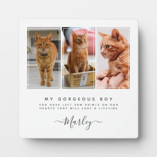 ペットの喪失ギフト 犬 & 猫, 3 枚の写真のペットメモリアル フォトプラーク
