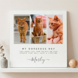 ペットの喪失ギフト 犬 & 猫, 3 枚の写真のペットメモリアル フォトプラーク