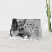 ペットの喪失 カード (裏面)