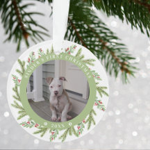 ペットの子犬の初めてのクリスマス2 Photos緑