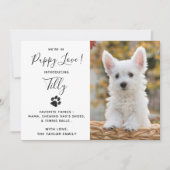 ペットの子犬の新発表 招待状 (正面)