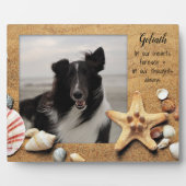 ペットの思い出のスタンディングビーチシェルズ フォトプラーク (正面)
