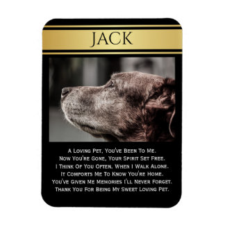 ペットの思い出の中失ったで マグネット