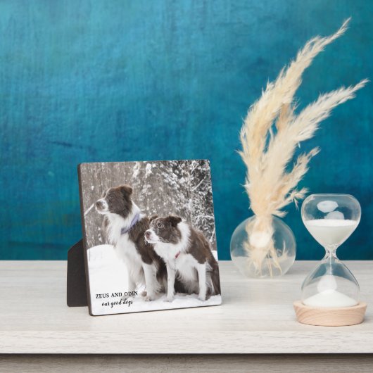 ペットの思い出の写真 フォトプラーク (インサイチュ)