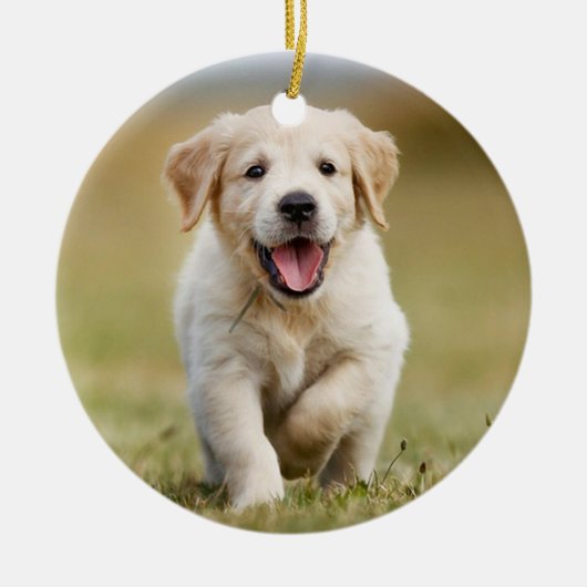 ペットの思い出を称える名言をカスタマイズ セラミックオーナメント (正面)