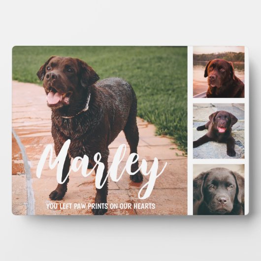 ペットの思い出オーダーメイド写真コラージュ フォトプラーク (正面)