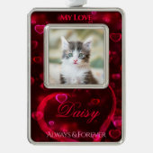 ペットの愛の追悼または記念、赤い輝くハート - シルバープレートフレームオーナメント (正面)