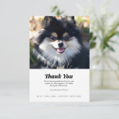 ペットの損失ありがとうお見舞いカード サンキューカード (スタンド正面)