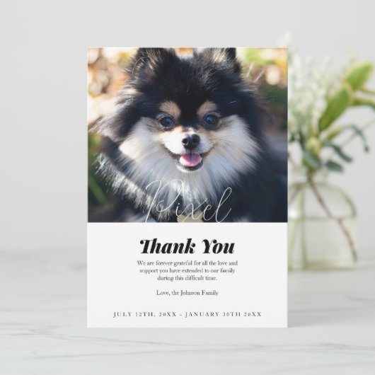 ペットの損失ありがとうお見舞いカード サンキューカード (スタンド正面)