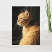 ペットの損失… カード (正面)