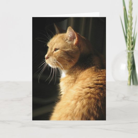 ペットの損失… カード (正面)