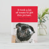 ペットの楽しいホリデーカード 赤いロットのおやつ シーズンカード (スタンド正面)