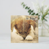 ペットの死のお悔やみカード 犬 カード (スタンド正面)