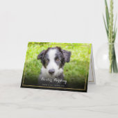 ペットの死への哀悼 写真 エレガントなゴールド サンキューカード (正面)